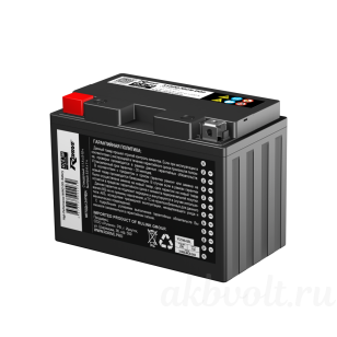 RDrive OEM AGM 11.8 230A   YTZ14S-GEL