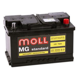 Moll MG Standard 75  