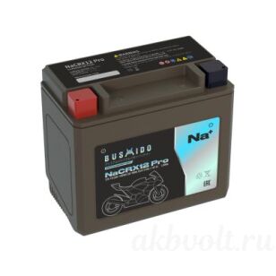 Bushido ���� 10.5�� 210� ������ ���������� NaCRX12