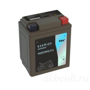 Bushido ���� 13.5�� 270� �������� ���������� NaCRYB14L