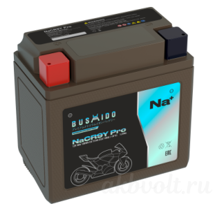 Bushido ���� 9�� 180� ������ ���������� NaCR9Y