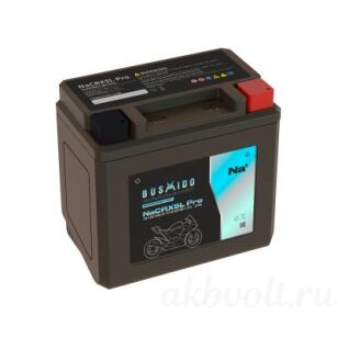 Bushido ���� 4.5�� 90� �������� ���������� NaCRX5L