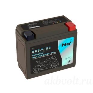 Bushido ���� 18�� 360� �������� ���������� NaCRYB20L