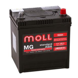 Moll MG Standard Asia 55  
