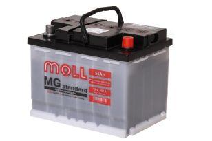 Moll MG Standard 55  