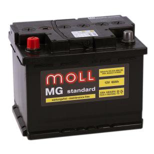 Moll MG Standard 60  