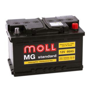 Moll MG Standard 66  