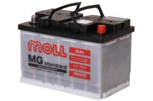 Moll MG Standard 80  