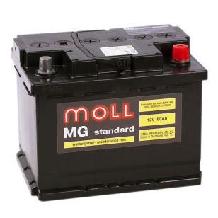 Moll MG Standard 60  