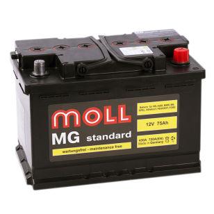 Moll MG Standard 75  