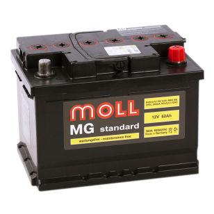 Moll MG Standard 62   