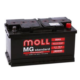 Moll MG Standard 80  