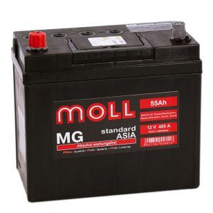 Moll MG Standard Asia 55  