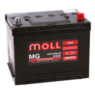 Moll MG Standard Asia 75  
