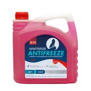 Охлаждающая жидкость Winterize Антифриз G12 красный -40 3кг WAG12RD-3