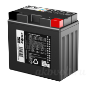 RDrive OEM AGM 16Ач 240A обратная полярность GYZ16HL