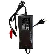 Зарядное устройство детских электромобилей RDrive Junior C2-12