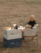 Ящик-органайзер в багажник автомобиля 27л зеленый