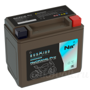 Bushido мото 13.5Ач 270А обратная полярность NaCRX14L
