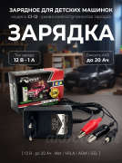 �������� ���������� ��� ���� ��� RDrive JUNIOR C1-12